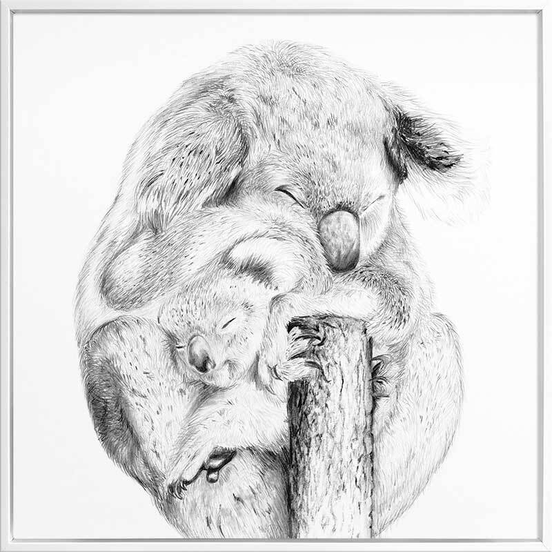 Snuggly Koalas Canvas Art Print