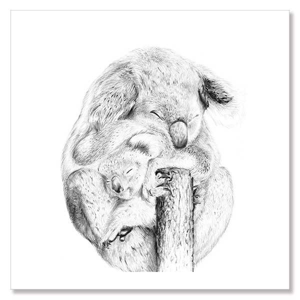 Snuggly Koalas Unframed Art Print