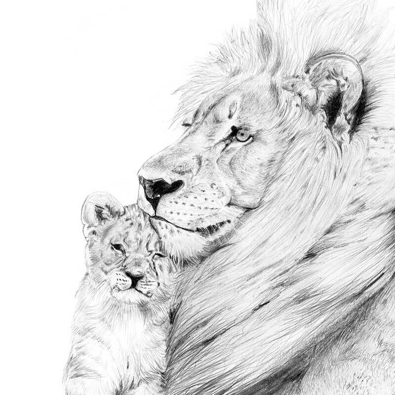 Lion Canvas Art Print