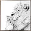 Lion Canvas Art Print