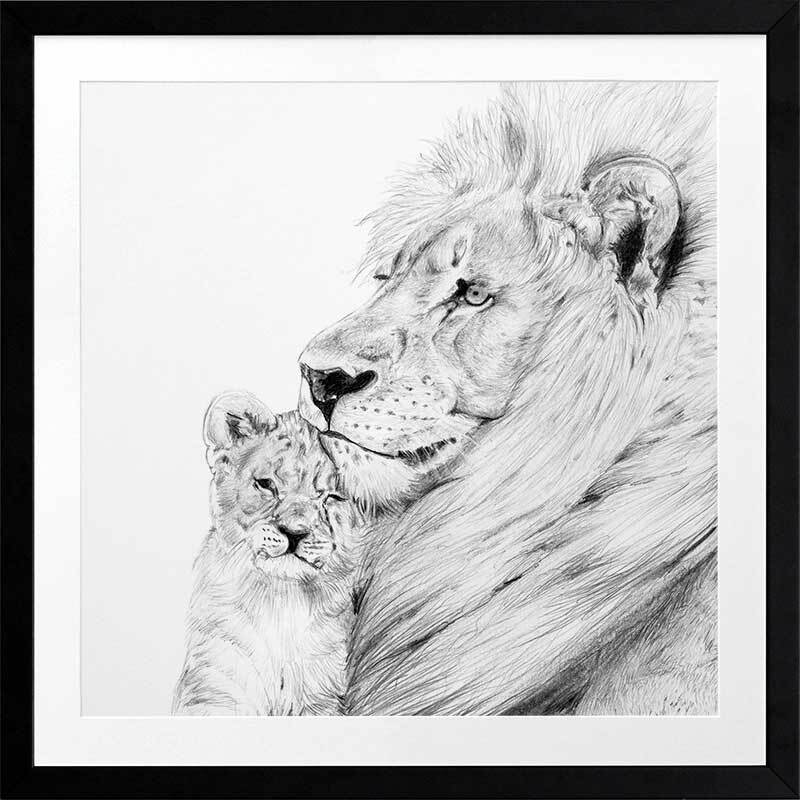 Lion Framed Art Print