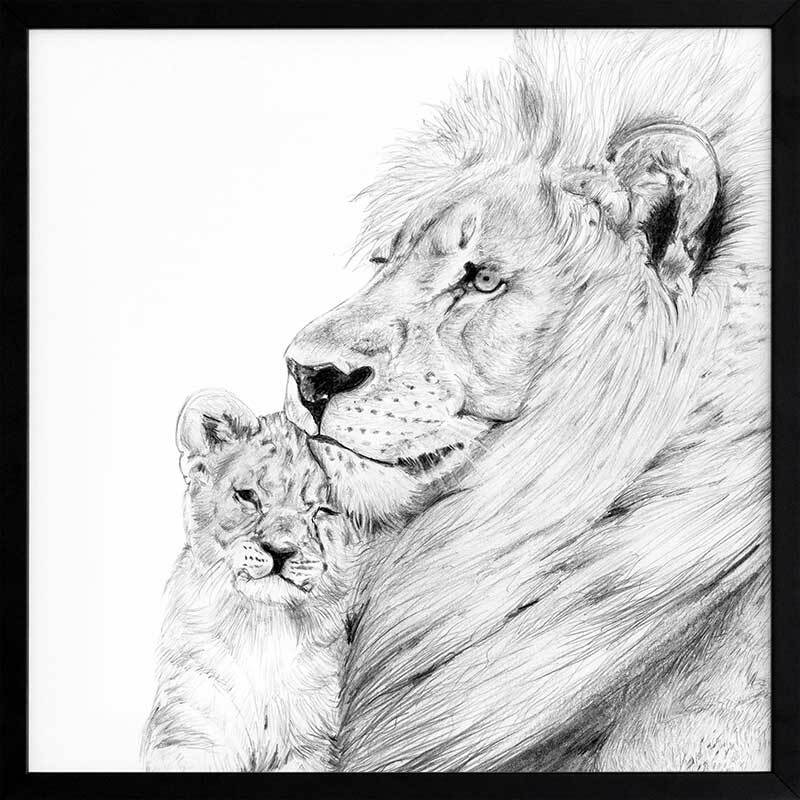 Lion Framed Art Print