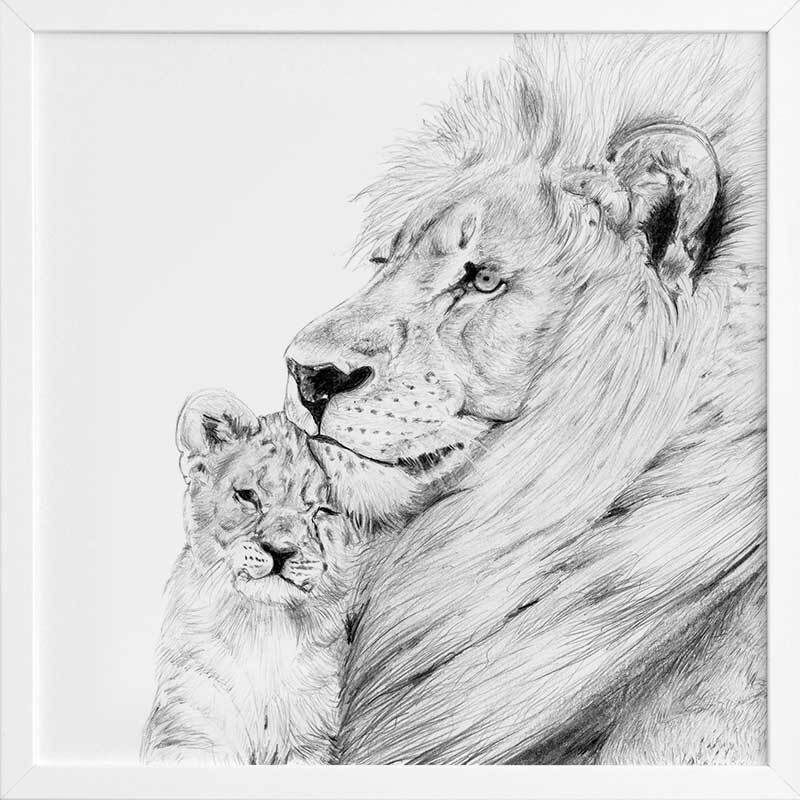 Lion Framed Art Print