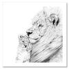 Lion Unframed Art Print