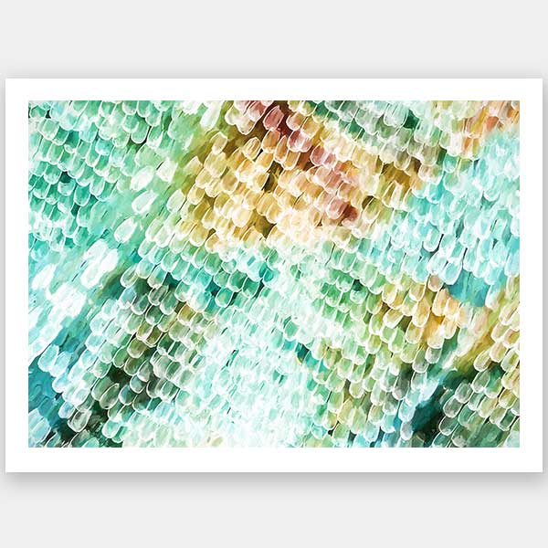 Papillon - Emerald City Unframed Art Print