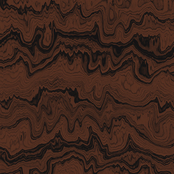 Wallpaper from the Tim Neve collection by Urban Road, featuring dark woodgrain swirls in black and brown for a bold, organic look.