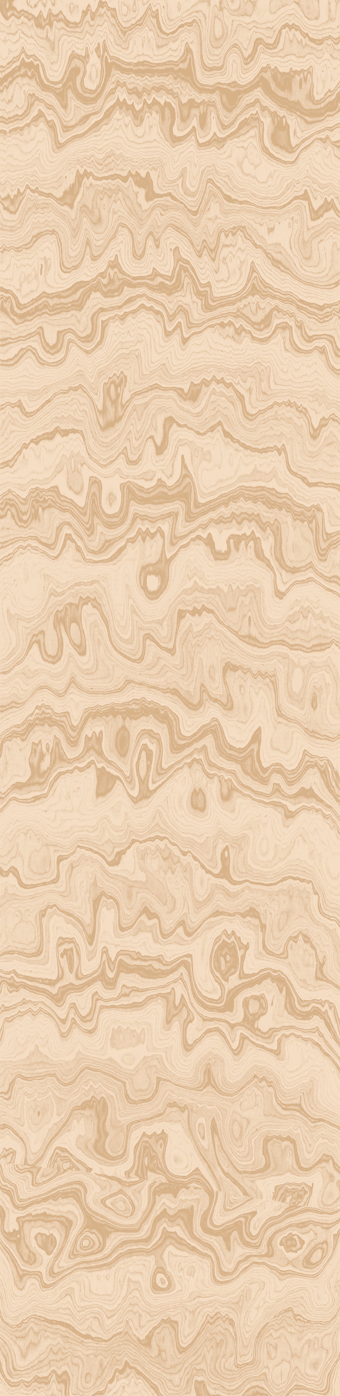 Wallpaper from the Tim Neve collection by Urban Road, featuring taupe woodgrain textures and curved abstract lines in a neutral palette.