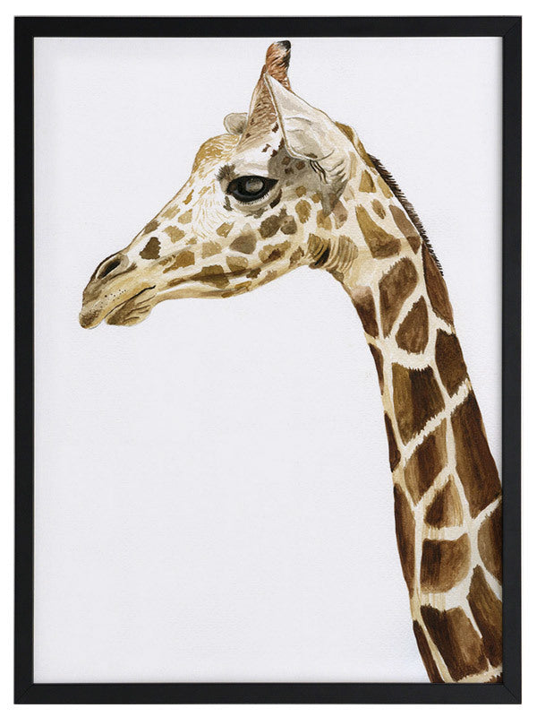 Giraffe 1 Framed Art Print