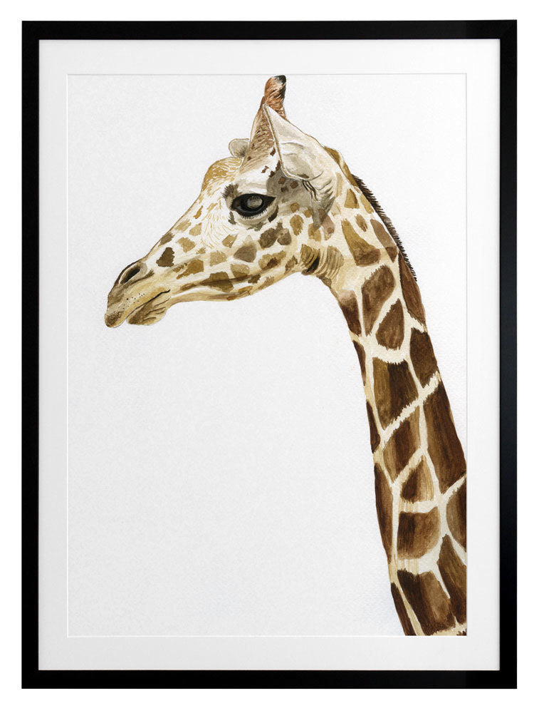 Giraffe 1 Framed Art Print