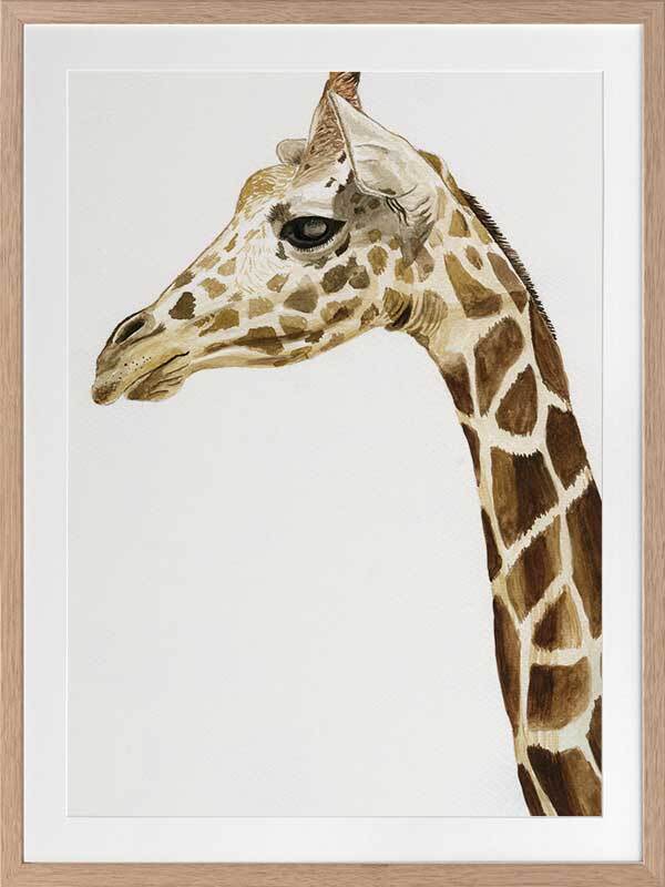 Giraffe 1 Framed Art Print