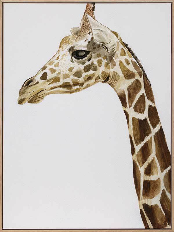 Giraffe1 Canvas Art Print