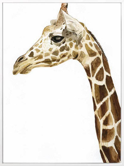 Giraffe1 Canvas Art Print