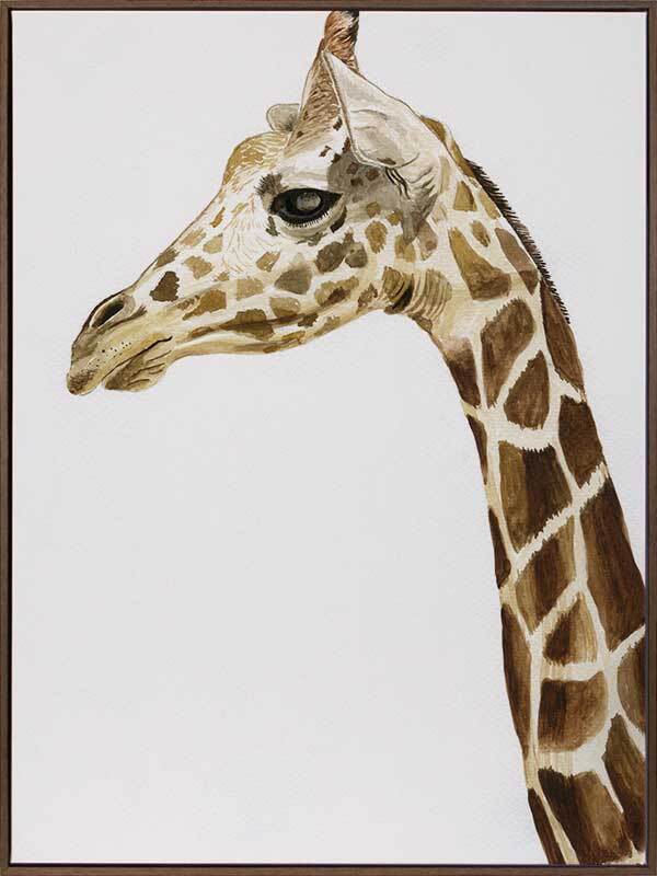 Giraffe1 Canvas Art Print