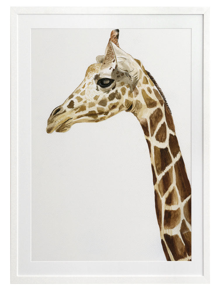 Giraffe 1 Framed Art Print