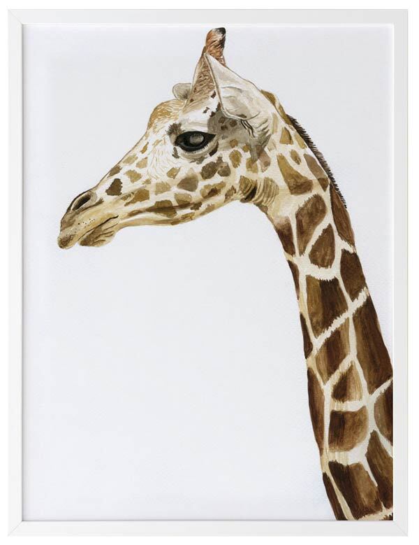 Giraffe 1 Framed Art Print