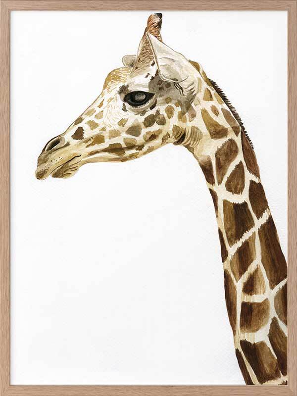 Giraffe 1 Framed Art Print