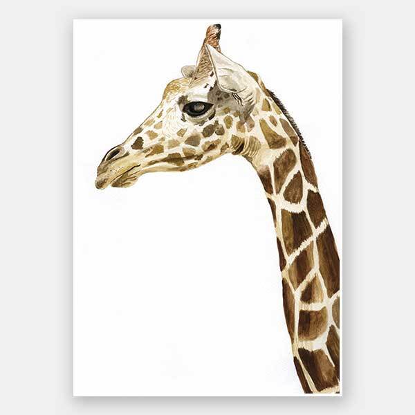Giraffe 1 Unframed Art Print