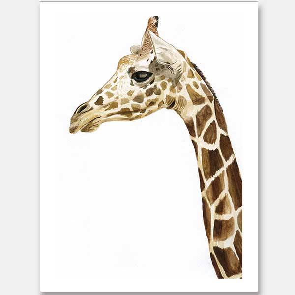 Giraffe 1 Unframed Art Print