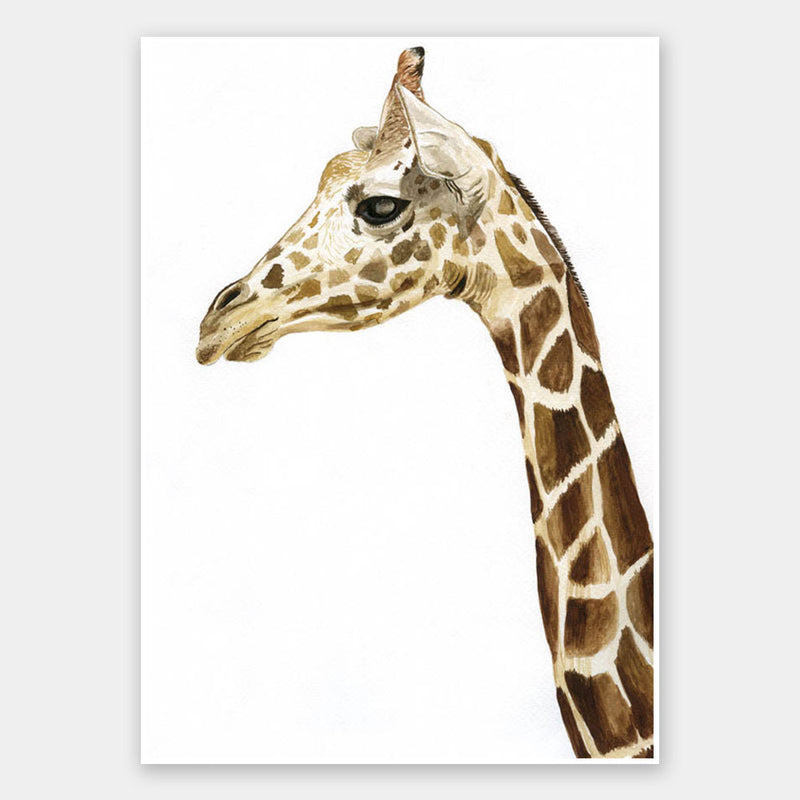 Giraffe 1 Unframed Art Print