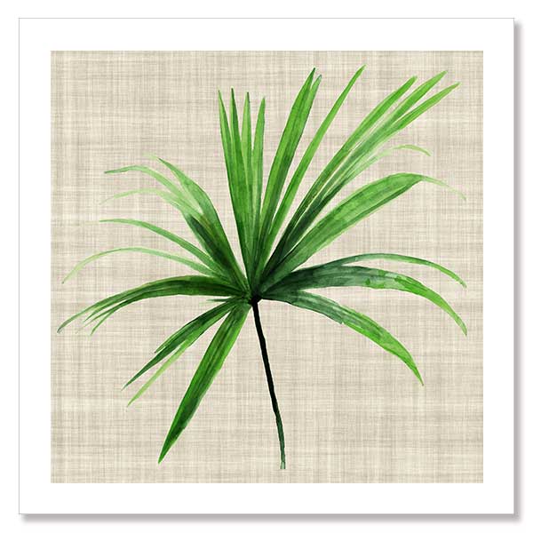 Spray Unframed Art Print