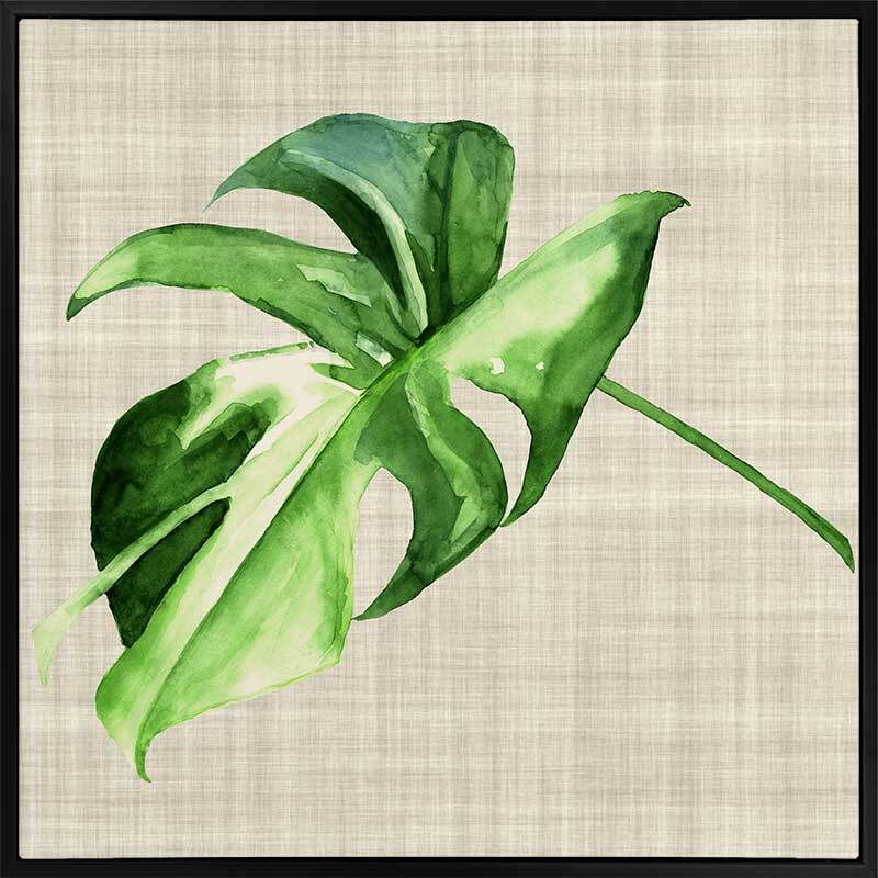 Araceae Canvas Art Print