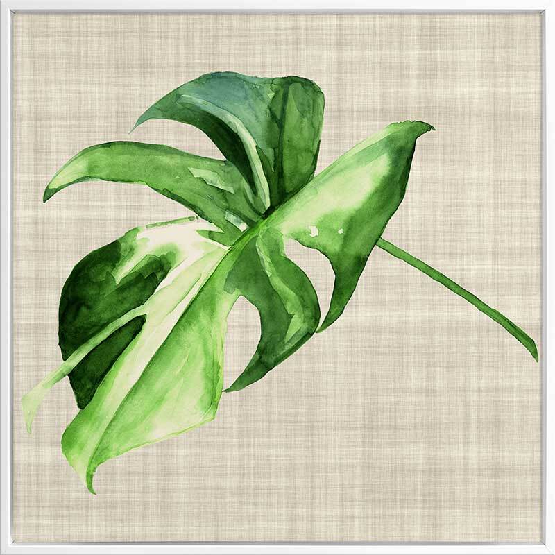 Araceae Canvas Art Print