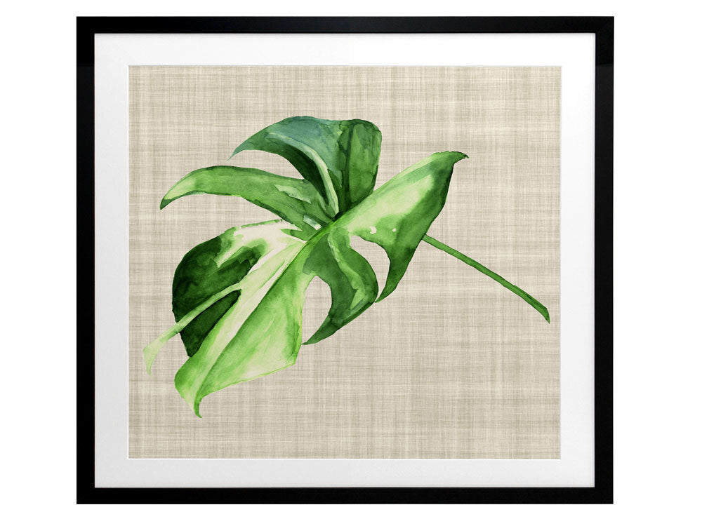 Araceae Framed Art Print