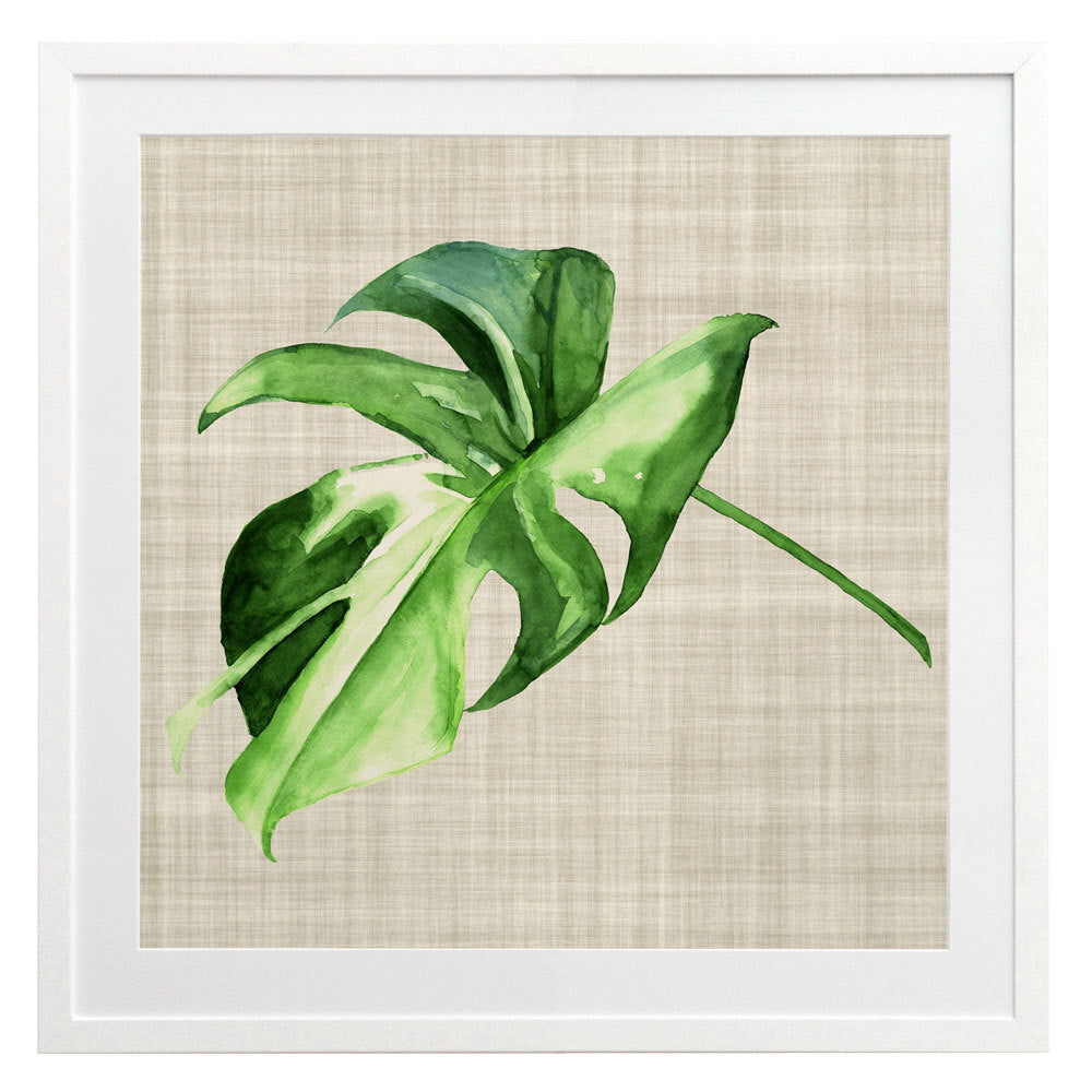 Araceae Framed Art Print