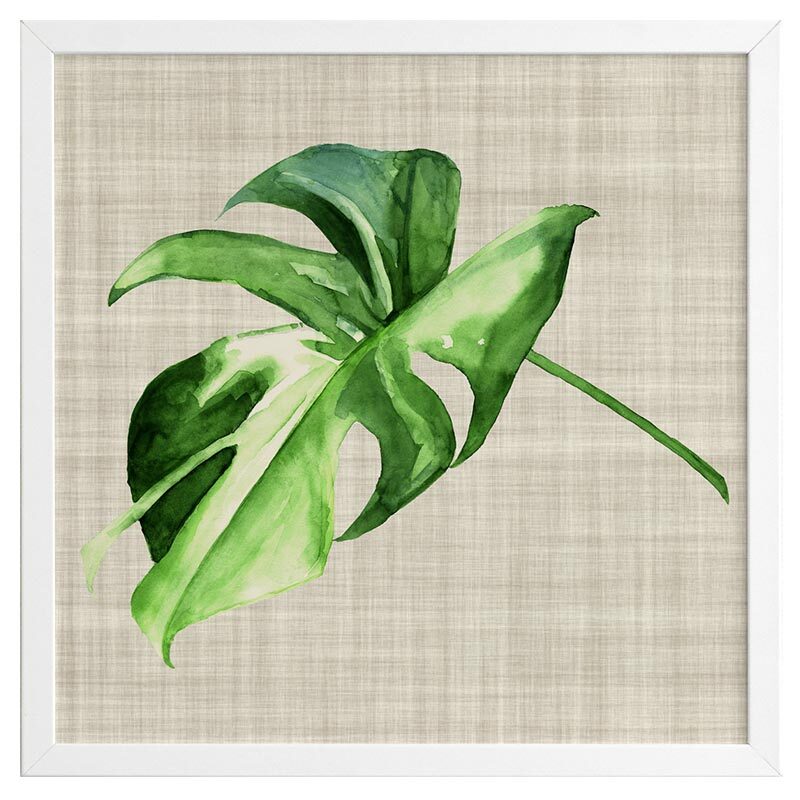 Araceae Framed Art Print