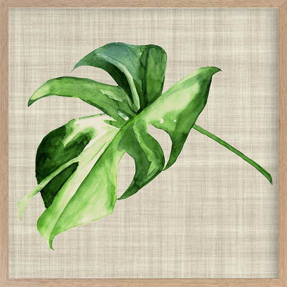 Araceae Framed Art Print