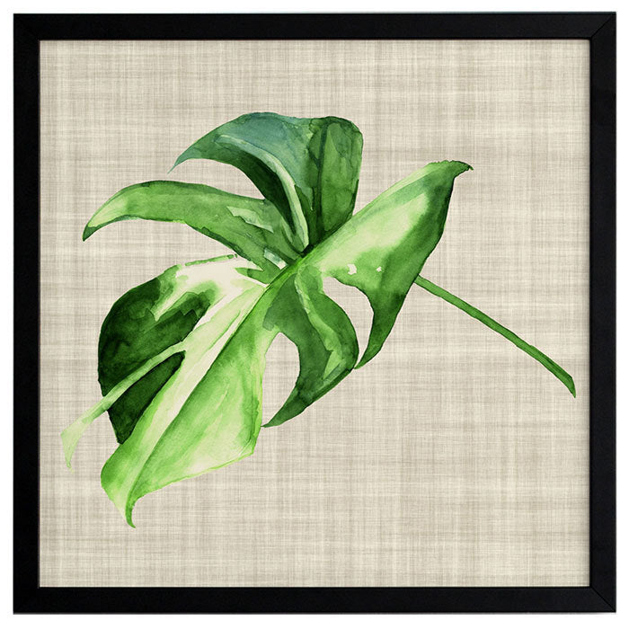 Araceae Framed Art Print