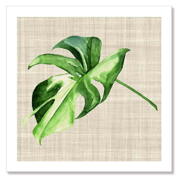 Araceae Unframed Art Print