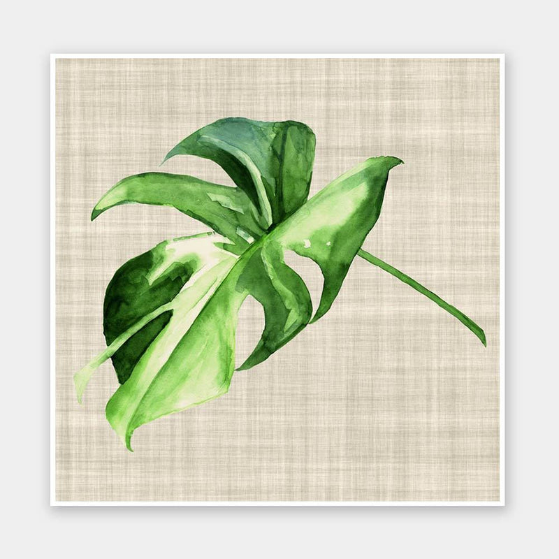Araceae Unframed Art Print