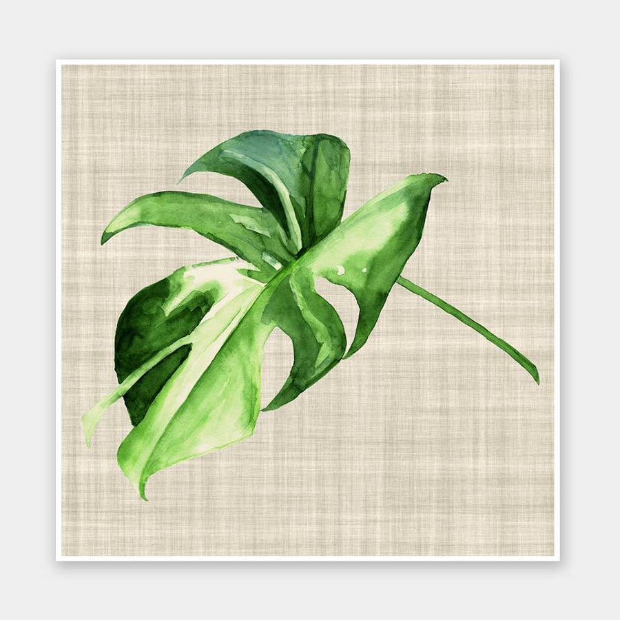 Araceae Unframed Art Print