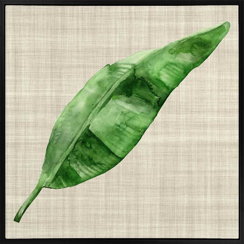 Green Leaf Canvas Art Print