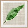 Green Leaf Framed Art Print