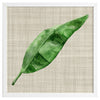Green Leaf Framed Art Print