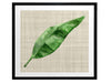 Green Leaf Framed Art Print