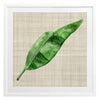 Green Leaf Framed Art Print