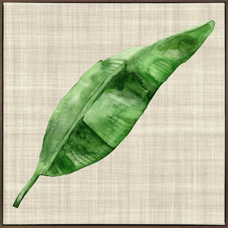 Green Leaf Canvas Art Print