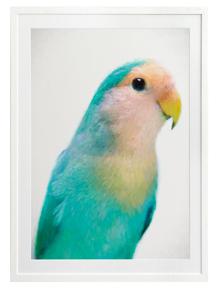 Soft as Feathers Framed Art Print