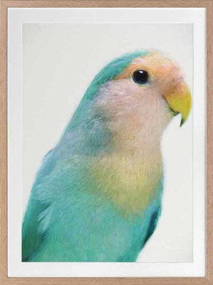 Soft as Feathers Framed Art Print