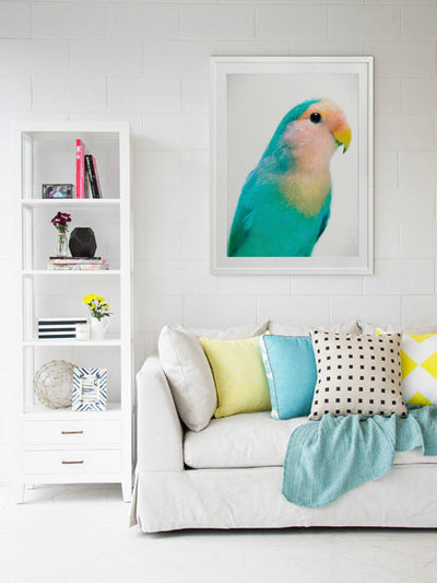 Soft as Feathers Framed Art Print | Lifestyle