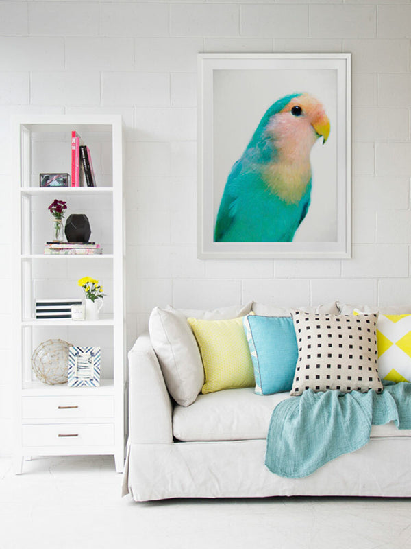 Soft as Feathers Framed Art Print | Lifestyle