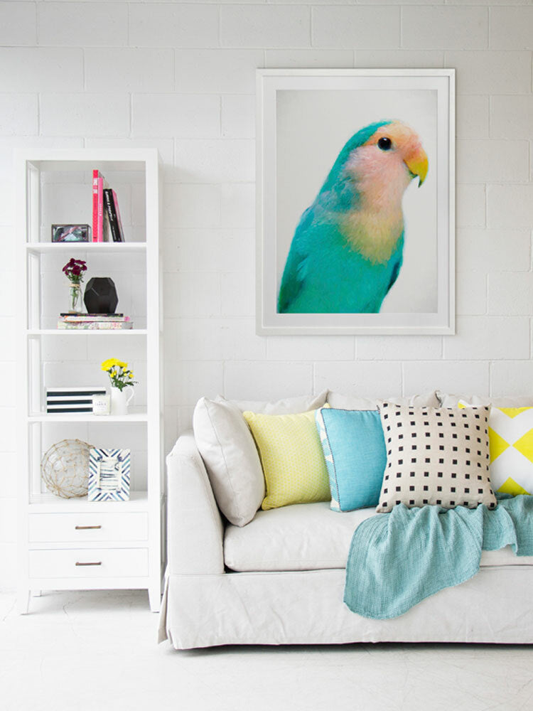 Soft as Feathers Framed Art Print | Lifestyle