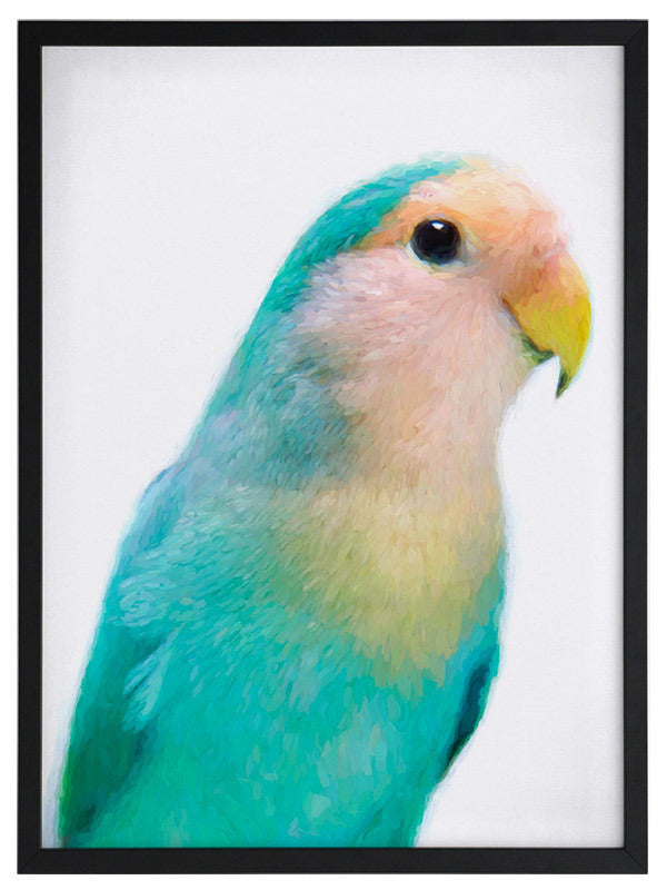 Soft as Feathers Framed Art Print