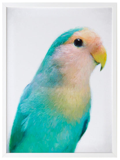 Soft as Feathers Framed Art Print