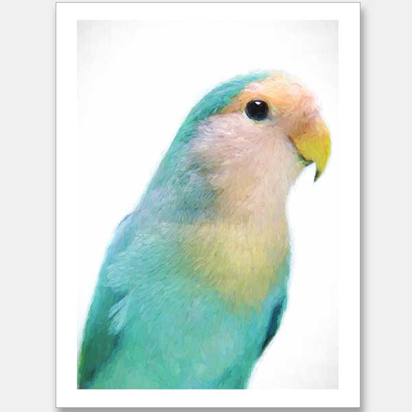 Soft as FeathersUnframed Art Print