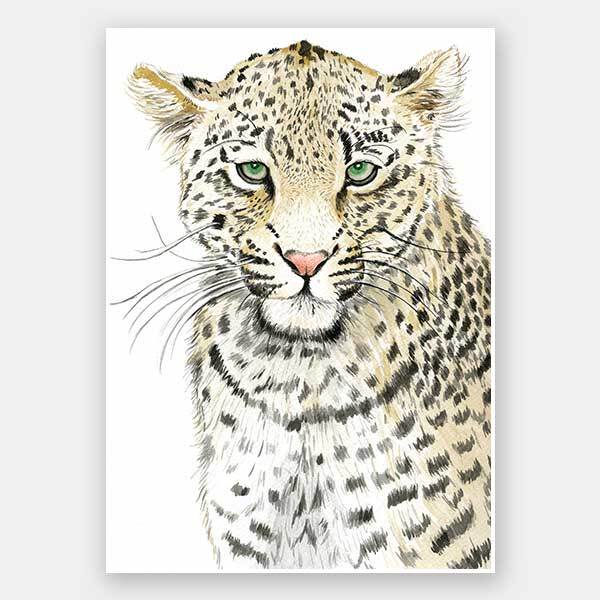 Leopard SpotsUnframed Art Print