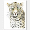 Leopard SpotsUnframed Art Print